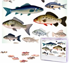 1000 Piece Jigsaw Puzzle for Adults Challenging Puzzle for Game Nights Wooden Puzzle Different Fish Personalized Custom Wood Puzzle for Family Picture Puzzle Finished Size 29.5"x19.7"