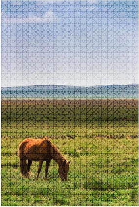 1000 Piece Puzzle Horse in The Grassland of Inner Mongolia China Indoor Activities Difficult Jigsaw Puzzle Set for Adults Children Educational Toys Gift