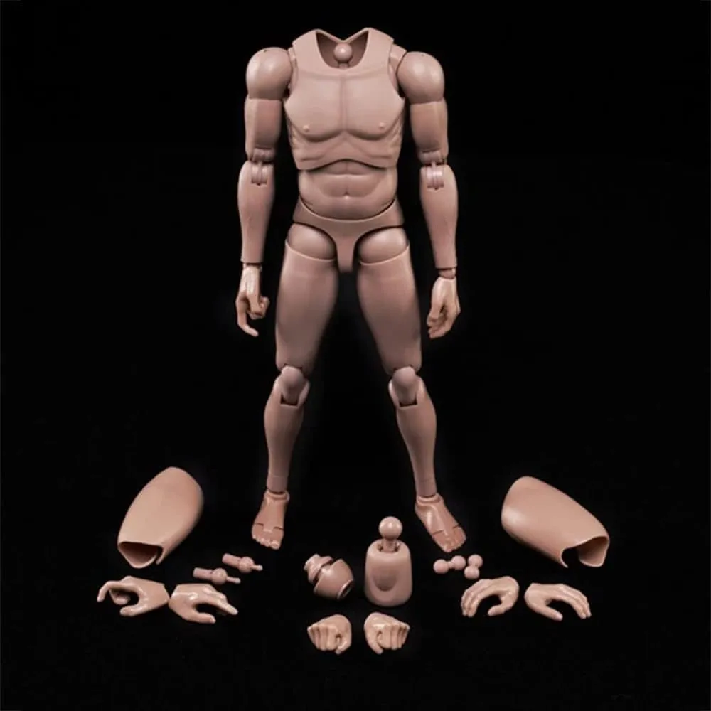 1:6 Scale Nude Male Figure Body, Europe/Asian Skin Muscular Body Model Man Action Figure Fit 12Inch Doll Without Head Sculpt for Head with Neck (MX02-A)