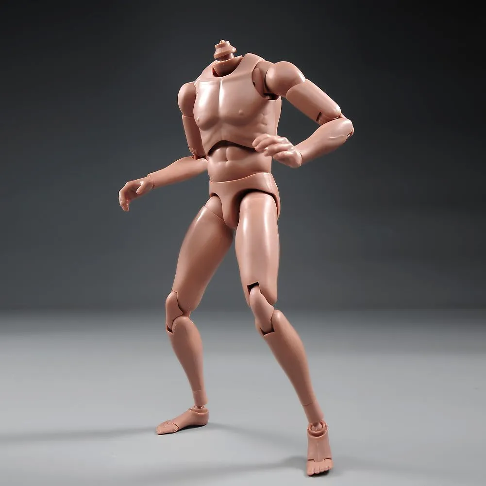 1:6 Scale Nude Male Figure Body, Europe/Asian Skin Muscular Body Model Man Action Figure Fit 12Inch Doll Without Head Sculpt for Head with Neck (MX02-A)