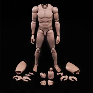 1:6 Scale Nude Male Figure Body, Europe/Asian Skin Muscular Body Model Man Action Figure Fit 12Inch Doll Without Head Sculpt for Head with Neck (MX02-A)