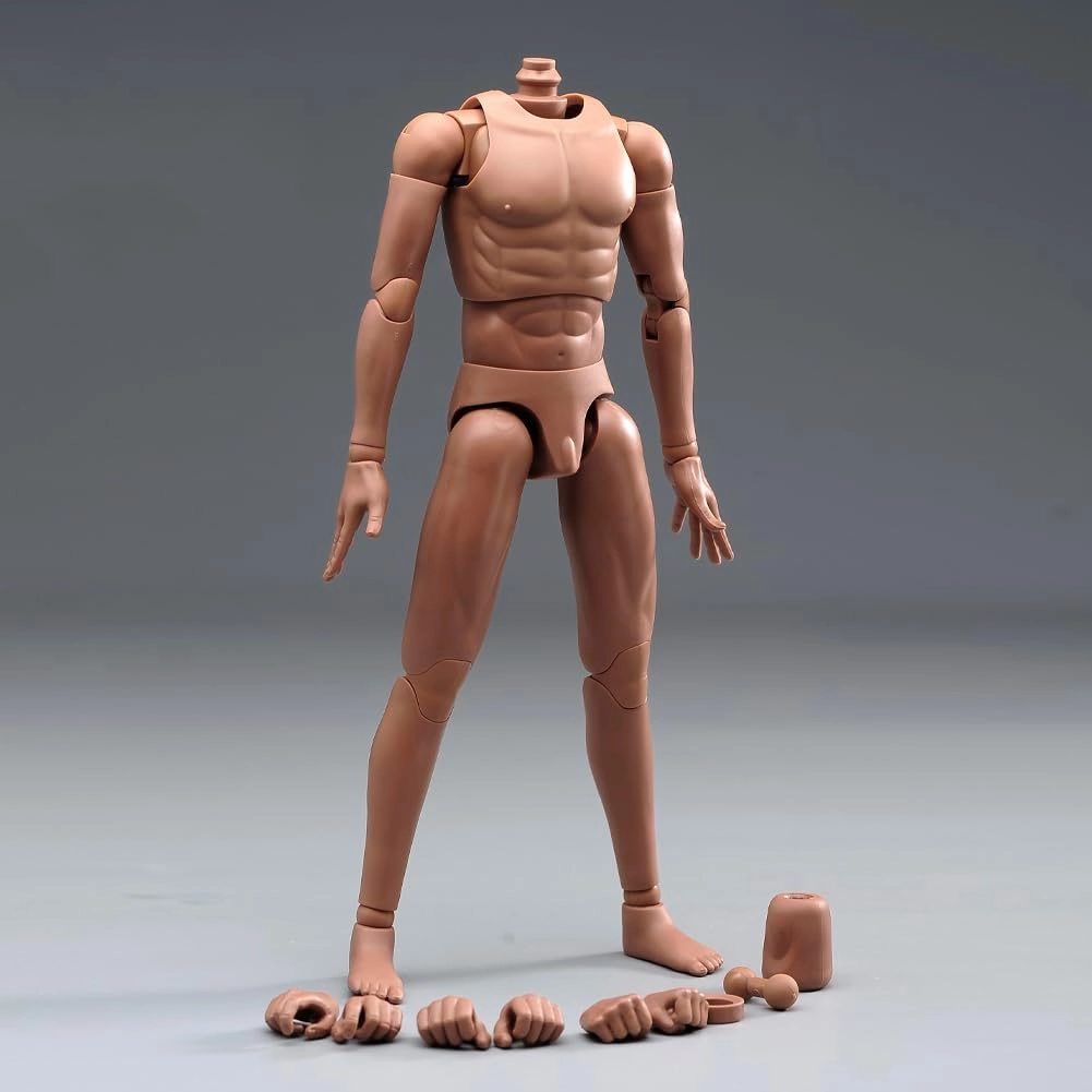 1/6 Scale Male Body,12inch Joints Flexible Muscle Male Soldier Action Figure Body Artistic Human Body Miniature Figure Doll (Suntan Skin)