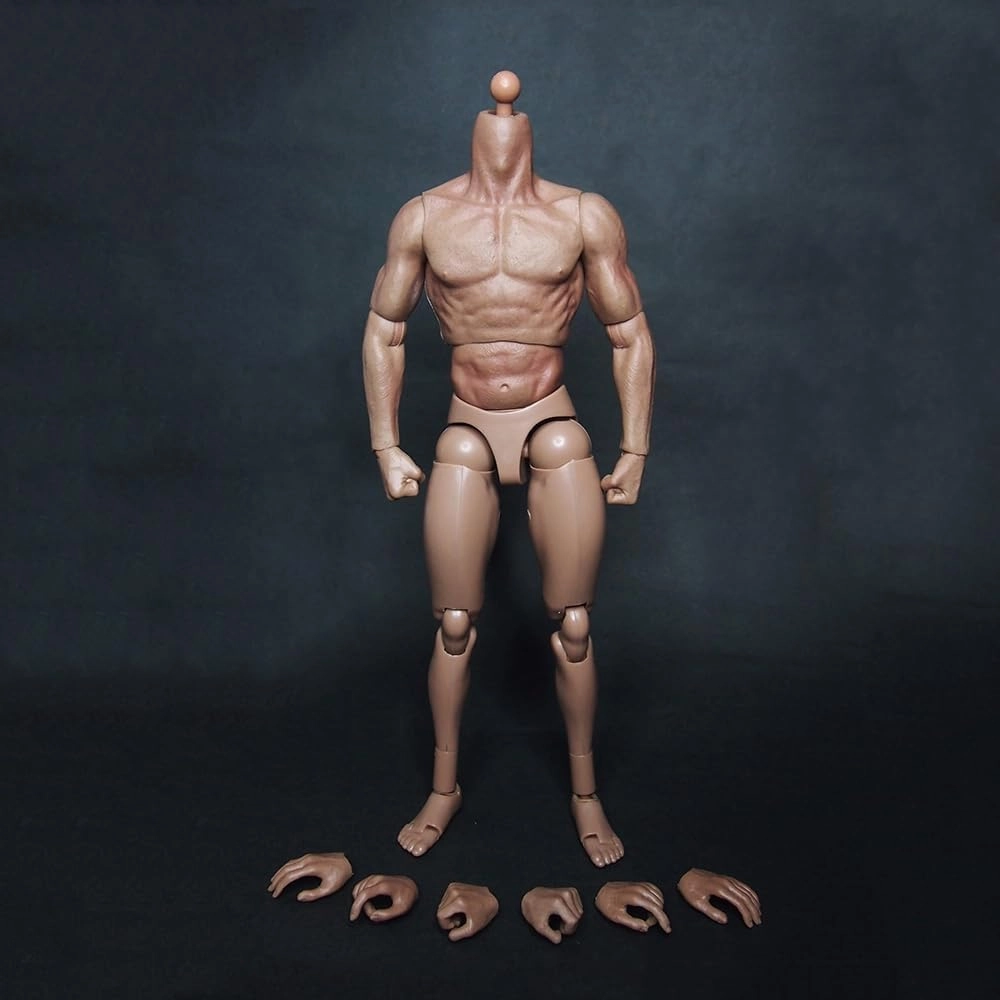 1/6 Scale Muscle Male Body 12in Flexible Muscle Male Action Figure Doll Miniature Figure Without Head Sculpt