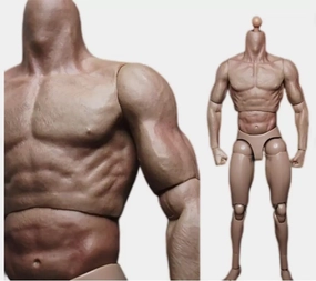 1/6 Scale Muscle Male Body 12in Flexible Muscle Male Action Figure Doll Miniature Figure Without Head Sculpt