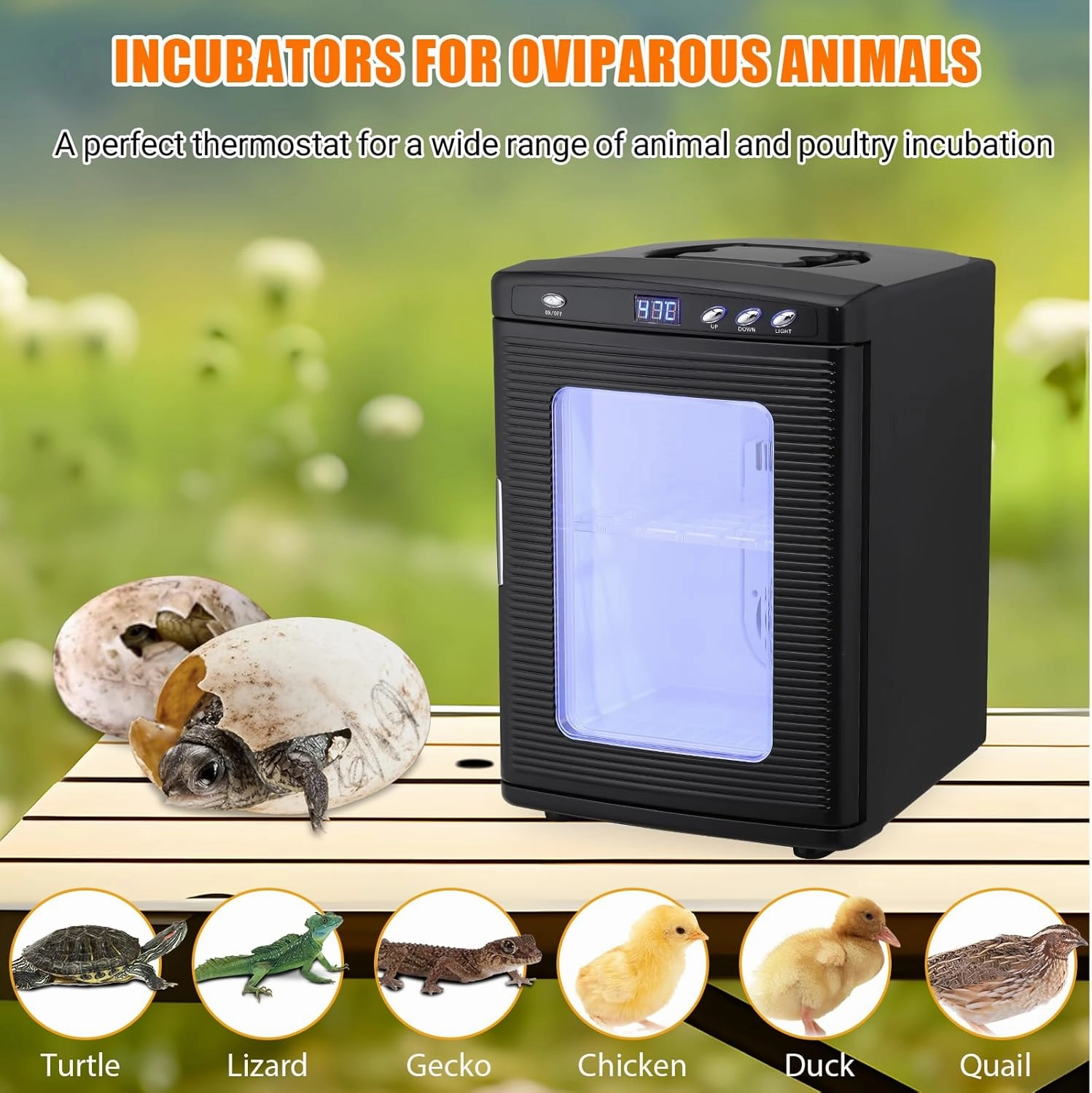 25 L Reptile Egg Incubator, Portable Science Laboratory Incubator, Temperature Controlled 10°C-60°C, Reptile Incubator with Handle, Reptile Incubators for Hatching Eggs, Black