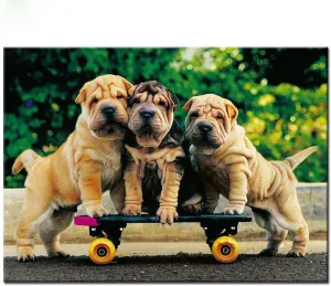 500 Piece Wooden Puzzle for Adults Three Shar Pei Dog Playing Skateboarding Jigsaw Puzzle Challenging for Youth Children Fun Puzzle Family Game Preschool Toys Best Gift