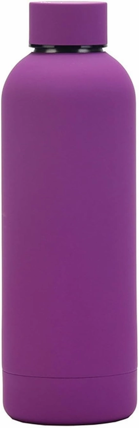 500ml/17oz American Small Mouth Double Layer Insulation Cup Outdoor Sports Multi Color Simple Water Cup-Daisy Purple