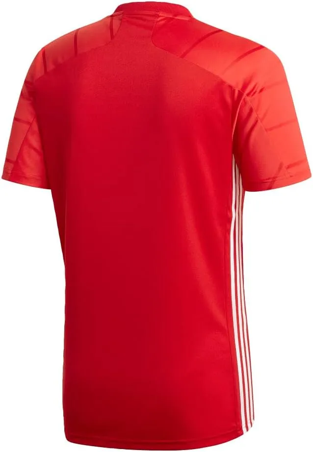 adidas Women's Crew Neck