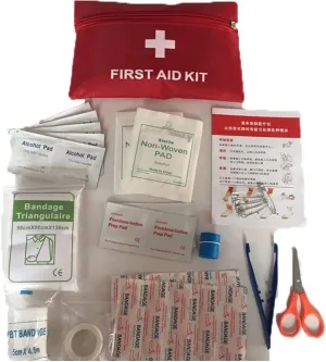 First Aid Kit-39 Pieces Portable Medical Emergency Kits for Home, Outdoors, Car, Camping, Workplace, Hiking & Survival