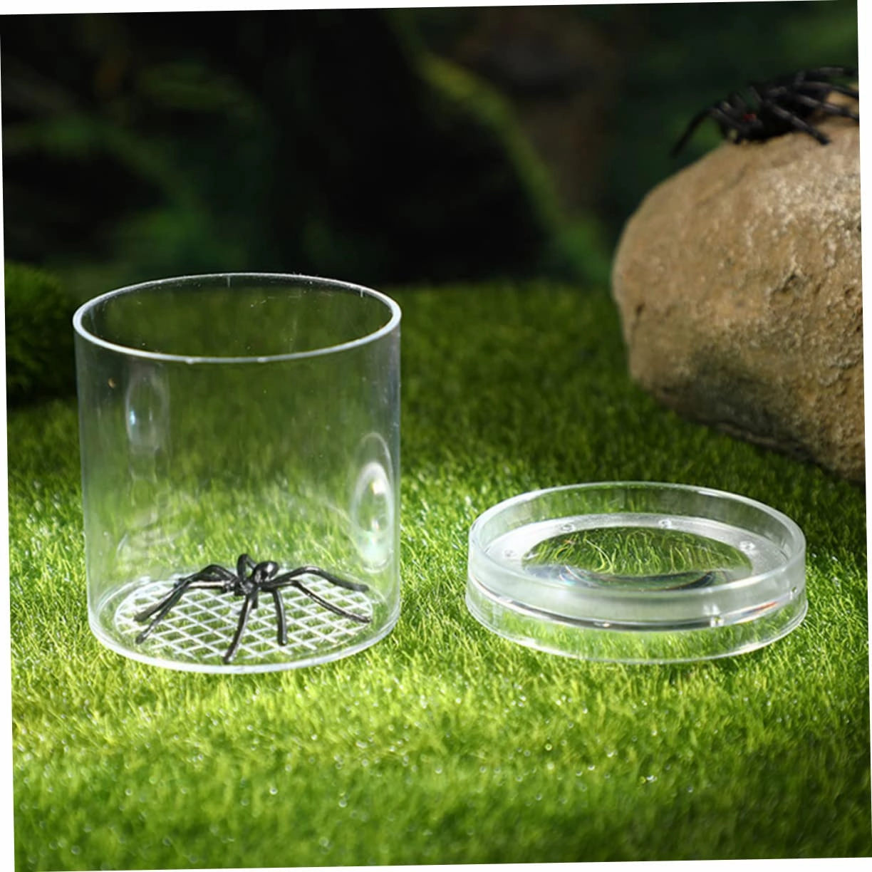 Gatuida 20pcs Boxes for Insect Observation Portable Measuring Outdoor Exploration Accessory for Boys and Girls and Nature Enthusiasts