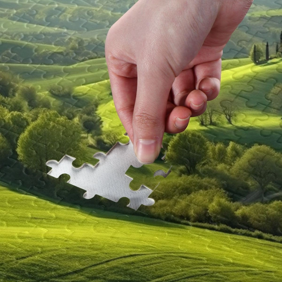Grassland Jigsaw Puzzles Challenge Games,Home Decoration,Hand Made Puzzles Personalized for Children and Adults Entertainment,1000 Pieces