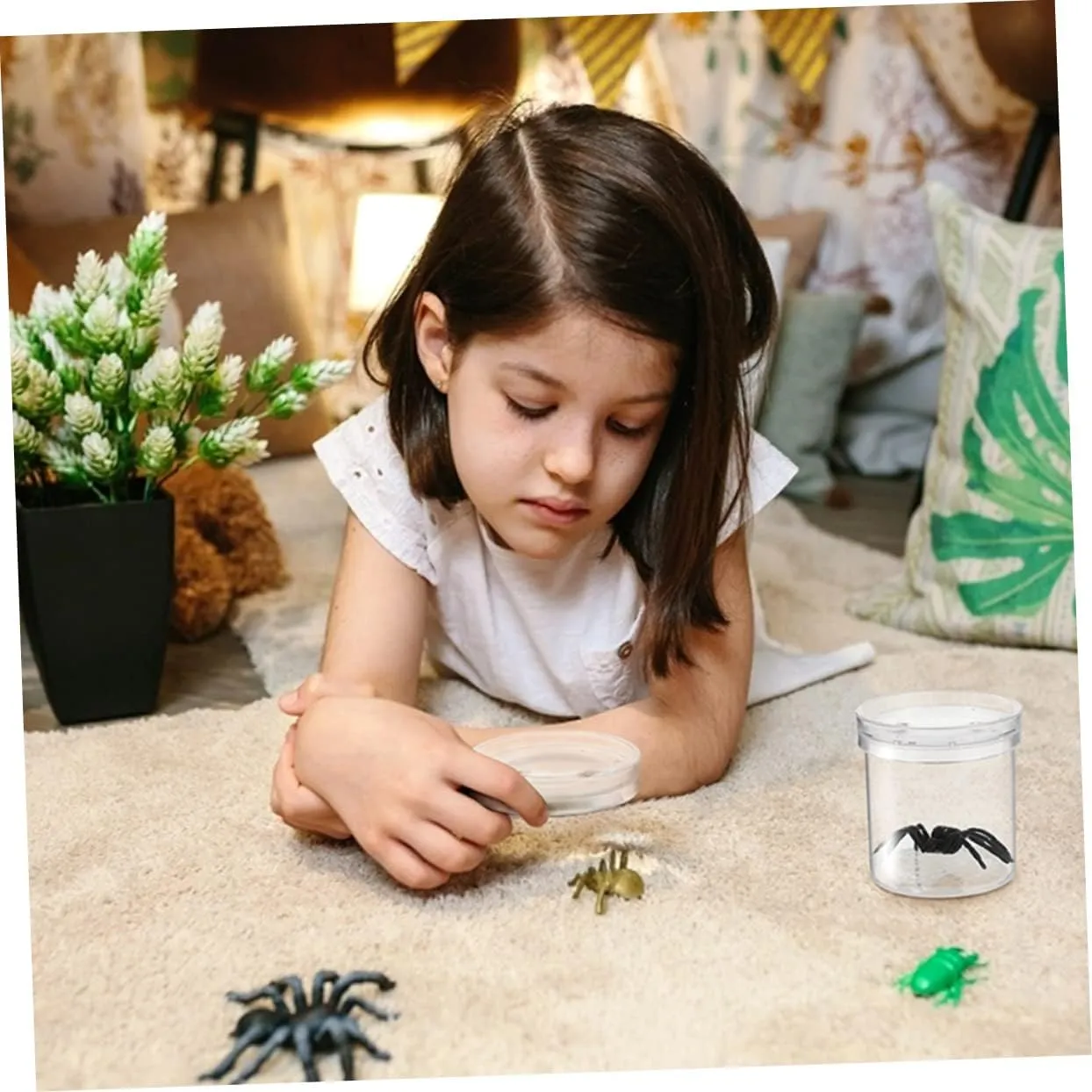 Hemoton 12pcs Portable Critter Box Box for Household Container for Outdoor Exploration Lightweight Insect Observation Tool Cognitive Skills and Imagination