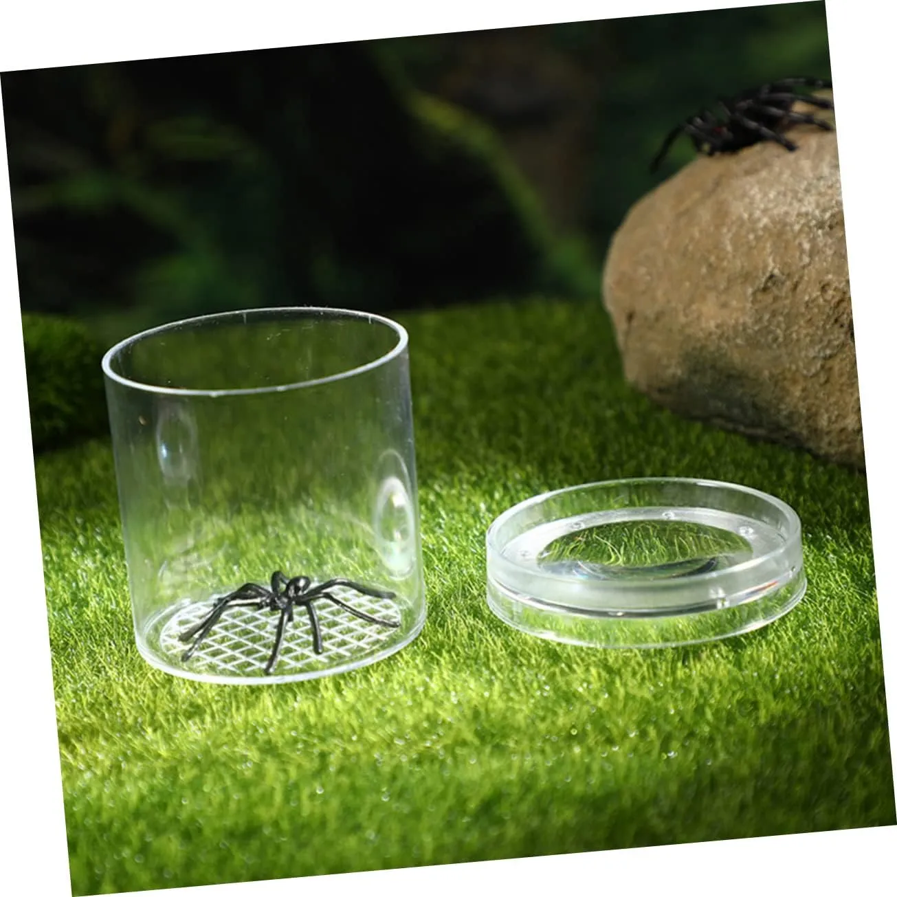 Hemoton 12pcs Portable Critter Box Box for Household Container for Outdoor Exploration Lightweight Insect Observation Tool Cognitive Skills and Imagination