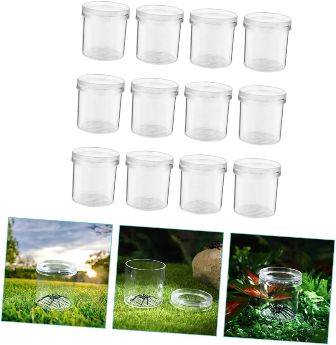 Hemoton 12pcs Portable Critter Box Box for Household Container for Outdoor Exploration Lightweight Insect Observation Tool Cognitive Skills and Imagination