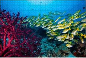 Jigsaw Puzzle Puzzle for Adult 500 Piece School Fish Tropical Fishes - Relieving Games for Everyone-Jigsaw Puzzle As Funny Home Decor, Challenging Puzzles for Adults and Family