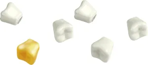Kikkerland Teeth Magnets, Set of 6 (MG25)