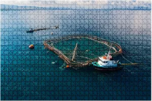 Puzzles 1000 Open Sea Fish Farm - Educational Intellectual Jigsaw Puzzles Puzzle Fun Game for Men Women Kids