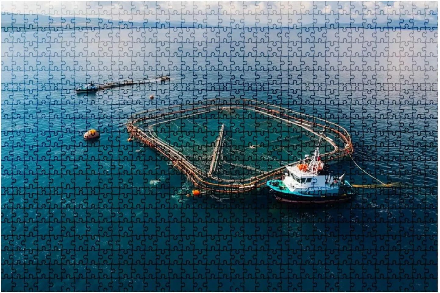 Puzzles 1000 Open Sea Fish Farm - Educational Intellectual Jigsaw Puzzles Puzzle Fun Game for Men Women Kids