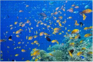 Puzzles 1000 Piece Colorful Tropical School Fish Maldives - Relieving Games for Everyone-Perfectly for Home Decor