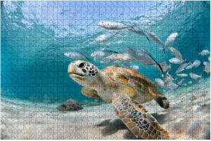 Puzzles 1000 Turtle Closeup School Fish - Educational Intellectual Jigsaw Puzzles Puzzle Fun Game for Men Women Kids