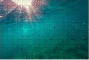 Puzzles 500 Piece Huge School Reef Fish Swim Turquoise Ocean Sunbeams Light Streaming - Relieving Games for Everyone-Perfectly for Home Decor