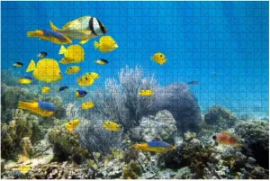 Puzzles 500 Piece Underwater Coral Reef School Fish - Relieving Games for Everyone-Perfectly for Home Decor