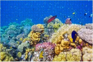 Puzzles for Adults 500 Pieces Sea Life Beautiful Coral Reef Lot Tropical Fish Red Sea Marsa Alam -Jigsaw Puzzle for Adults Challenging Puzzle Perfect for Game Nights