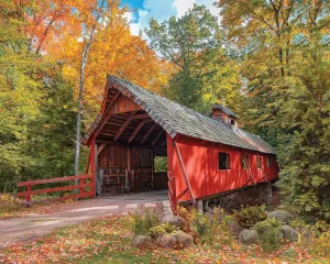 Springbok Loonsong Bridge - 1000 Piece Jigsaw Puzzle for Adults - Made in USA