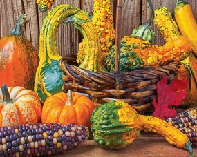 Springbok's 1000 Piece Jigsaw Puzzle Harvest Colors - Made in USA