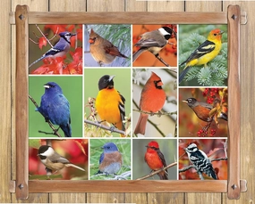 Springbok's 1000 Piece Jigsaw Puzzle Songbirds - Made in USA