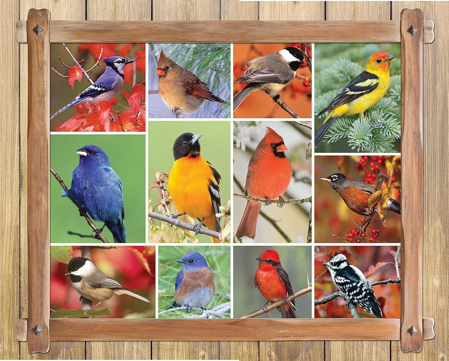 Springbok's 1000 Piece Jigsaw Puzzle Songbirds - Made in USA