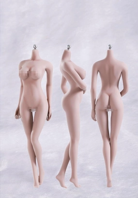 TBLeague 1/6 Female Seamless Action Figures-Realistic Full Silicone Body Stainless Steel Skeleton-1/6 Scale Super Flexible Female Figure Dolls for Arts/Drawings/Photography (S07C)