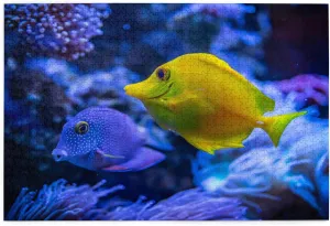 Wooden Puzzles Yellow and Blue Fish in The Water 500 Piece Mother's Day Children's Day Exercise Patience Puzzle Game - Education Intellectual Puzzle Game Toys Gift